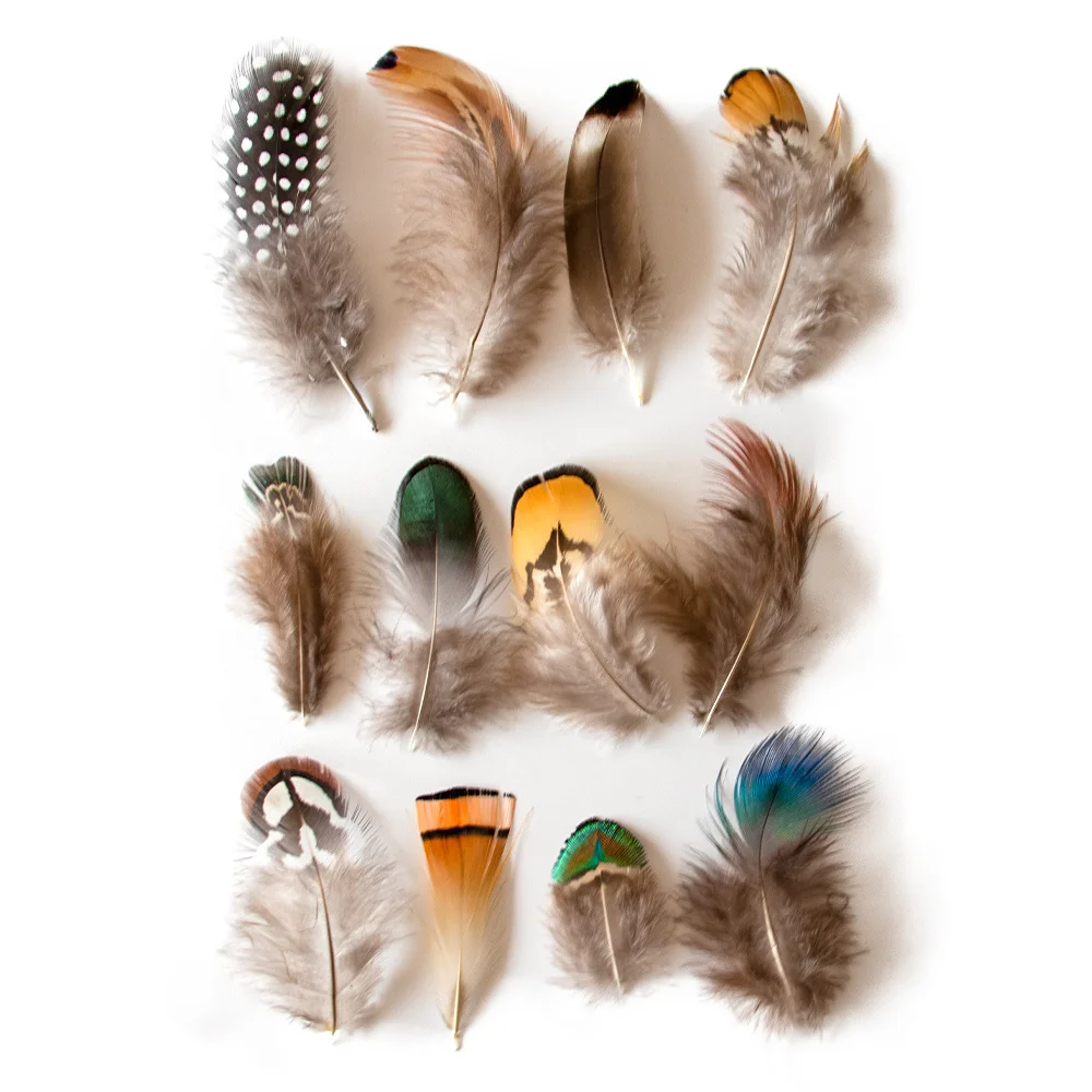 50PCS Natural Pheasant Feathers DIY Crafts Headdress Decoration Clothing and Hat Adornment Dream catcher Handicraf Decoration