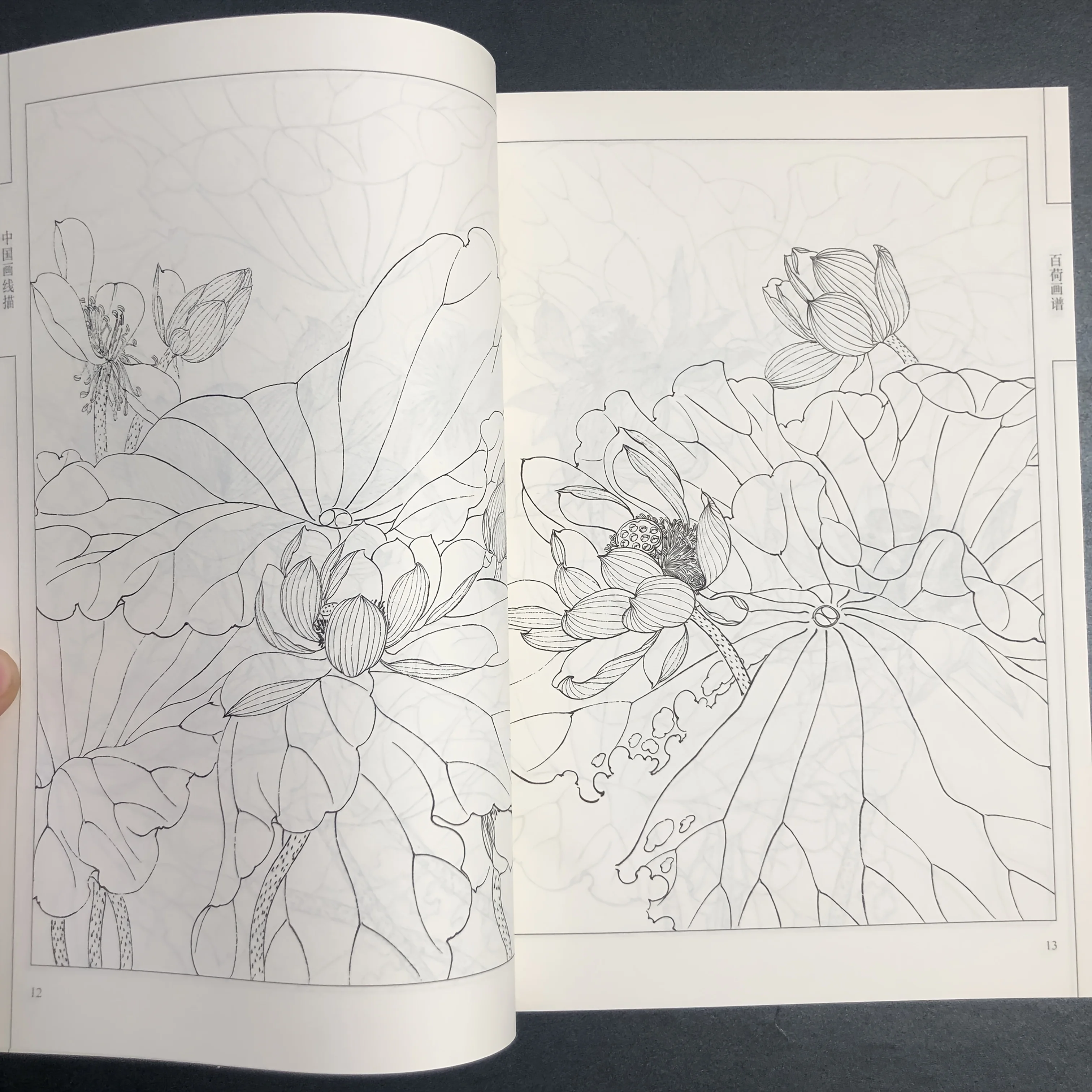 Coloring Book for Adults and Teens Featuring  with Easy and Simple Designs for Relaxation Chinese painting sketch