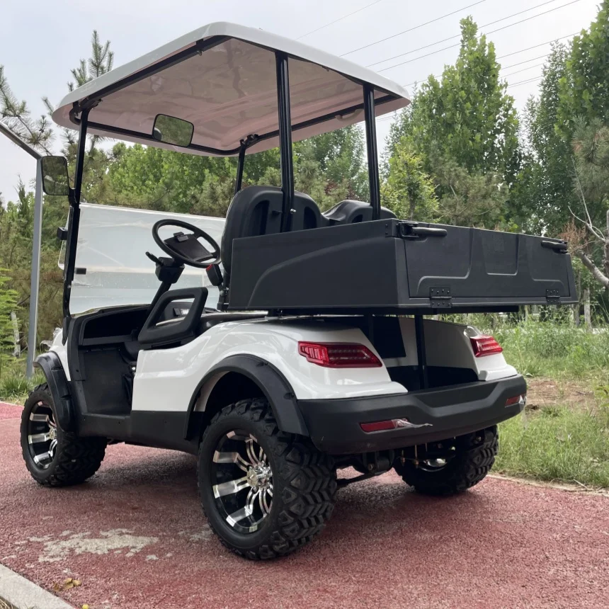 Hot Sale Electric Golf Cart Control 72V Intelligent Electronic Control 4 Wheel Electric City Step Through Electric Golf Cart