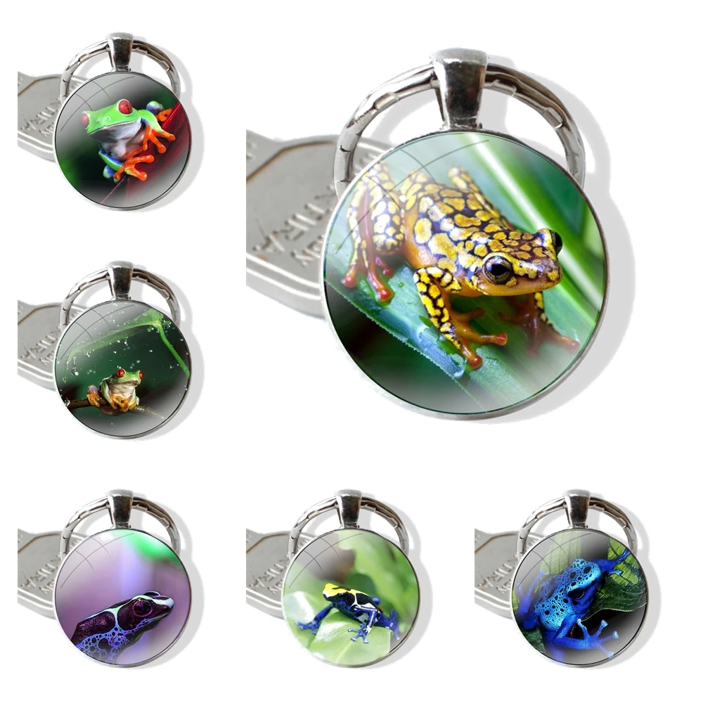 Amphibian animals frog Poison Dart Glass Metal Pendant Key Chain Classic Men Women Key Ring Accessories Jewelry Gifts