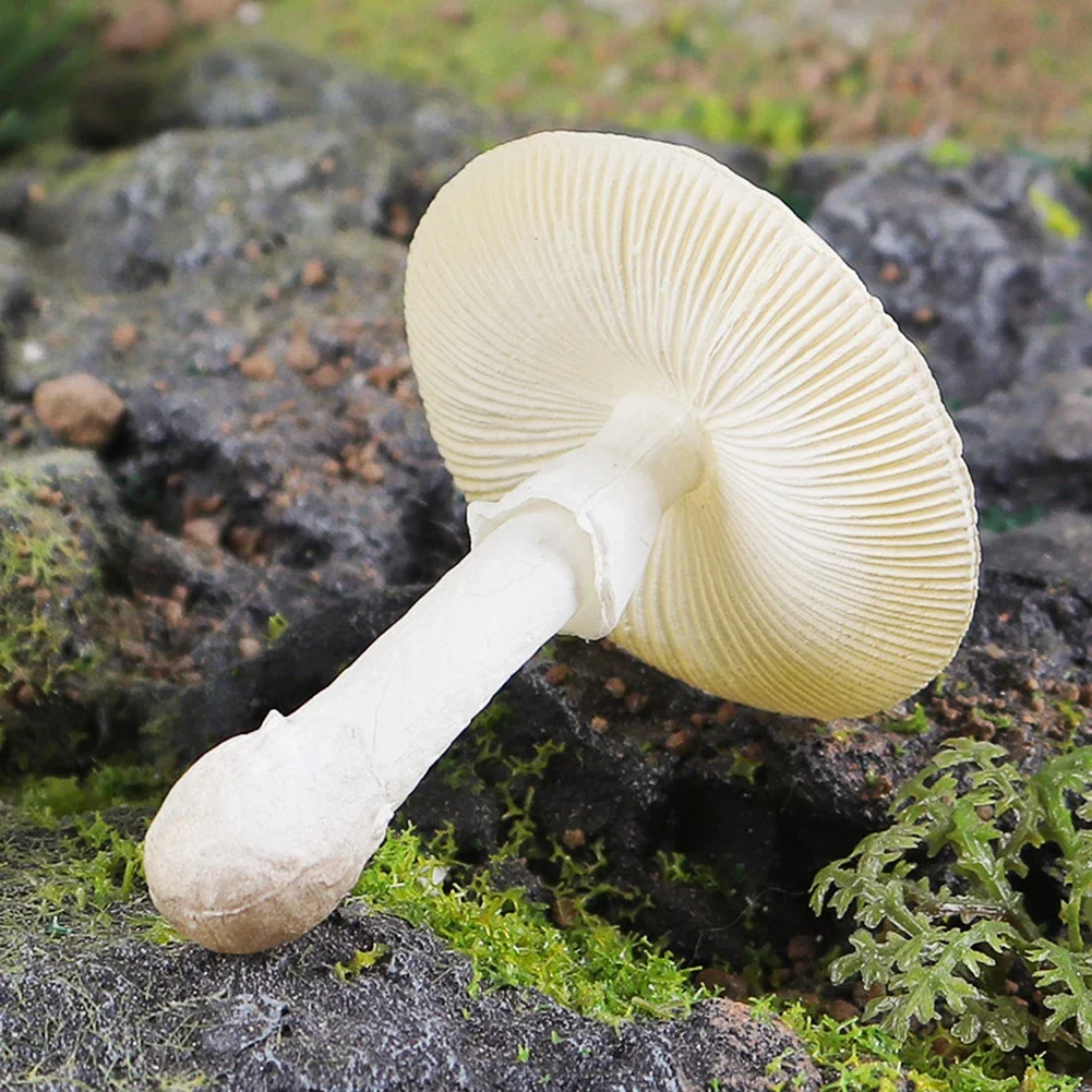 مجموعة تماثيل فطر صغيرة مكونة من 12 قطعة لديكور حديقة الجنية والمناظر الطبيعية الخارجية ومشاريع إبداعية ذاتية الصنع