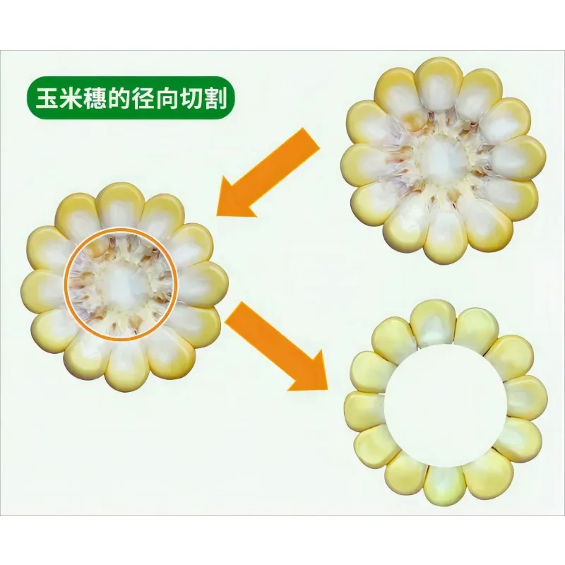 Mais Mais Dreschmaschine