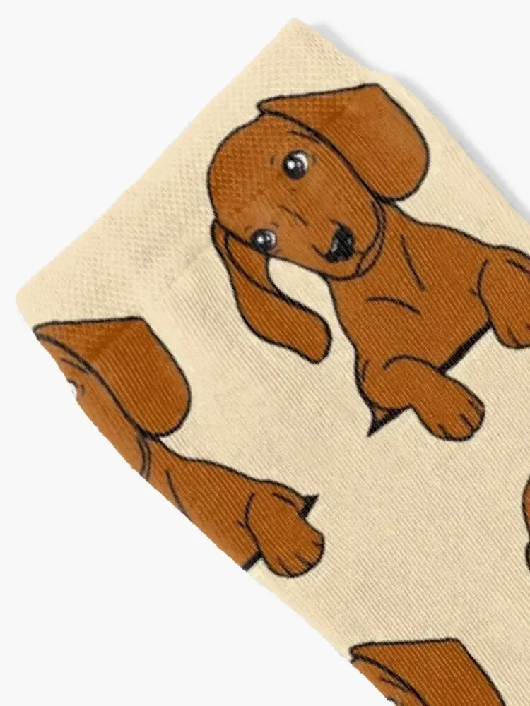 Brown Dachshund Puppy in Your Pocket Socks short Thermal man winter Socks For Girls Men's