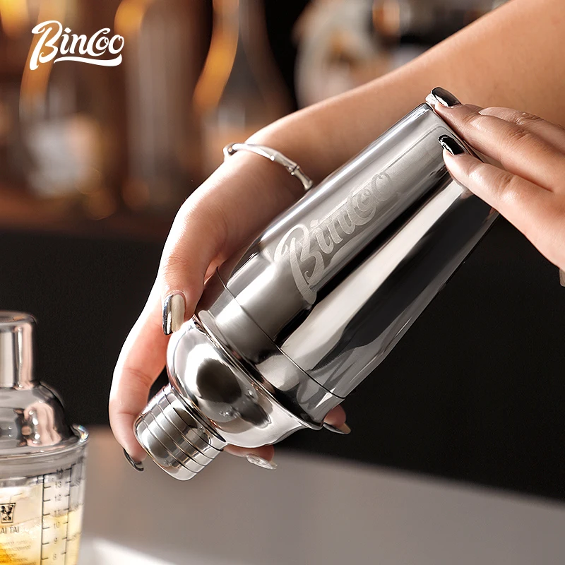 5-Piece Cocktail Shaker Set with Recipe Glass & Stainless, Stainless Steel Bartender Kit with Jigger, Muddler, Pour Spout
