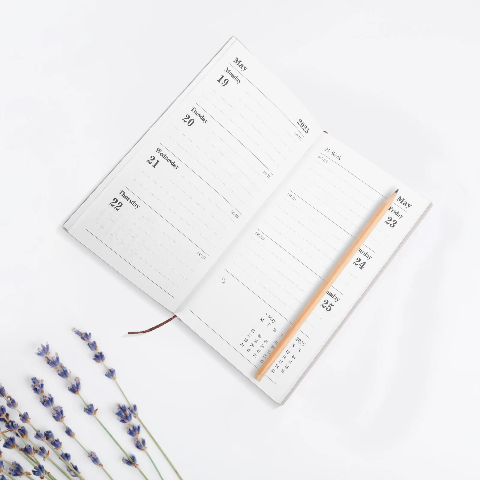 

Time Management Calendar Monthly Planner for Students Day Notebook Decorative Daily