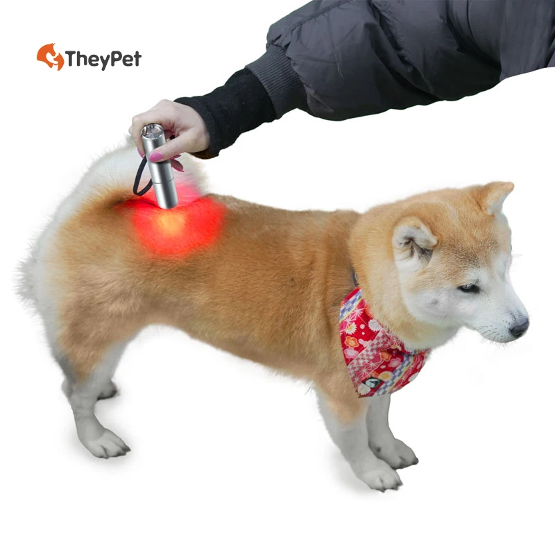 Portable Disinfection Equipment Torch Light Therapy Pet 660nm 630nm 850nm Horse Cats Tendon Issue Arthritis Legs Pain Relief