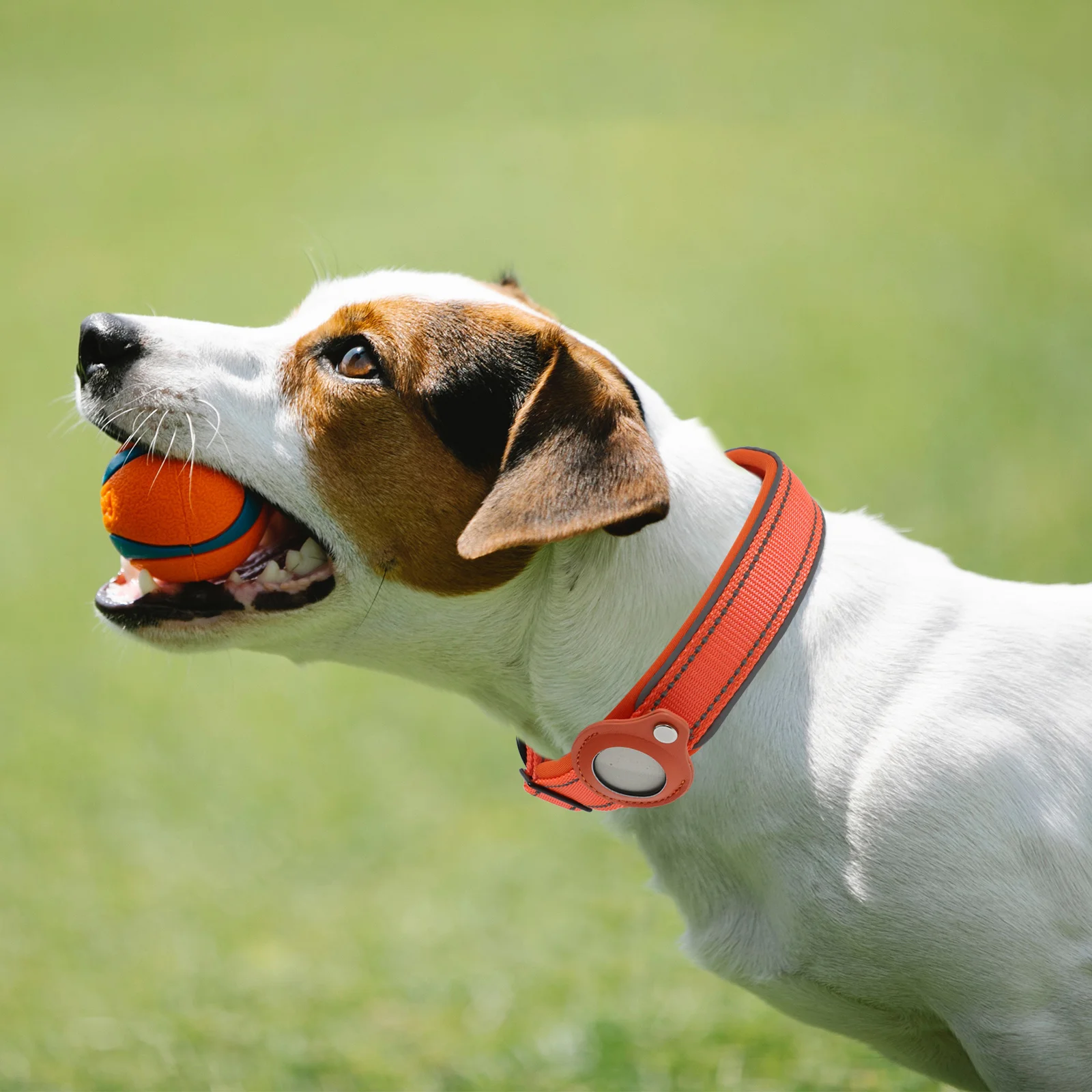 

Pet Collar Case Holder Decorate Device Protective Nylon Strap Tracking