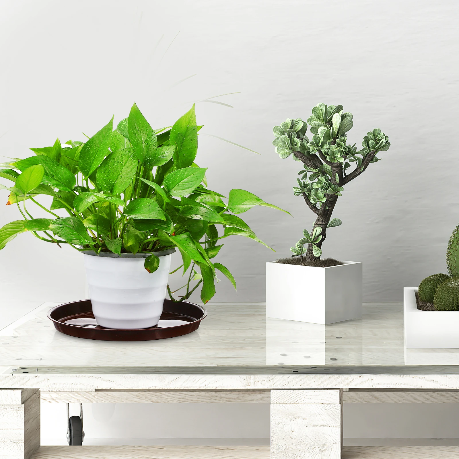5 vassoi per vasi per piante in plastica, piattini rotondi per vasi da fiori, per interni ed esterni, riutilizzabili, resistenti al giardino, con bordo rialzato