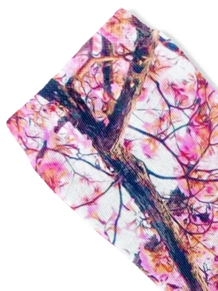 Sakura Japanese Cherry Blossom Tree Socks funny gift summer Crossfit snow Men Socks Women's