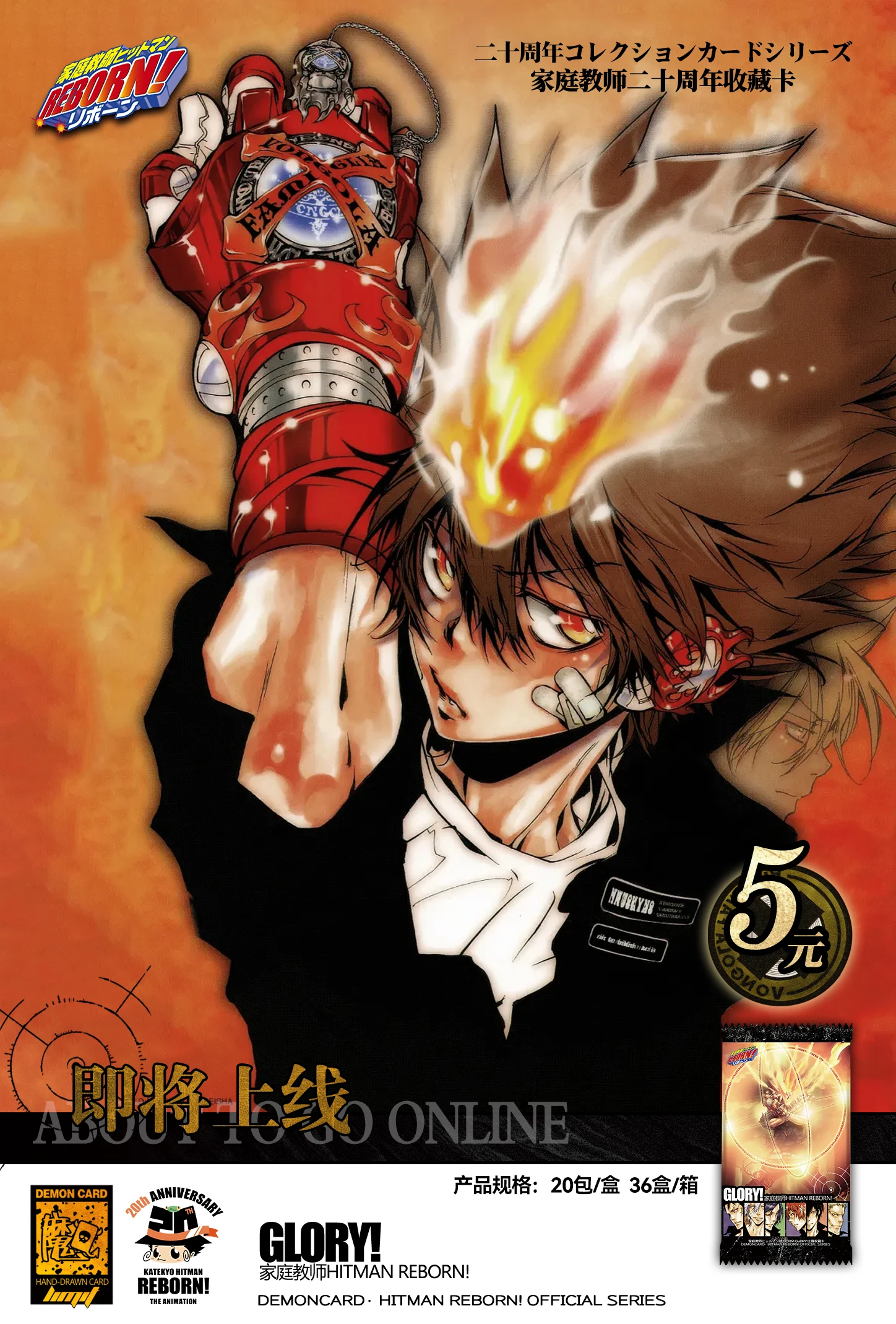 Katekyo Cards Hitman Reborn 20th Anniversary Trading Cards Full