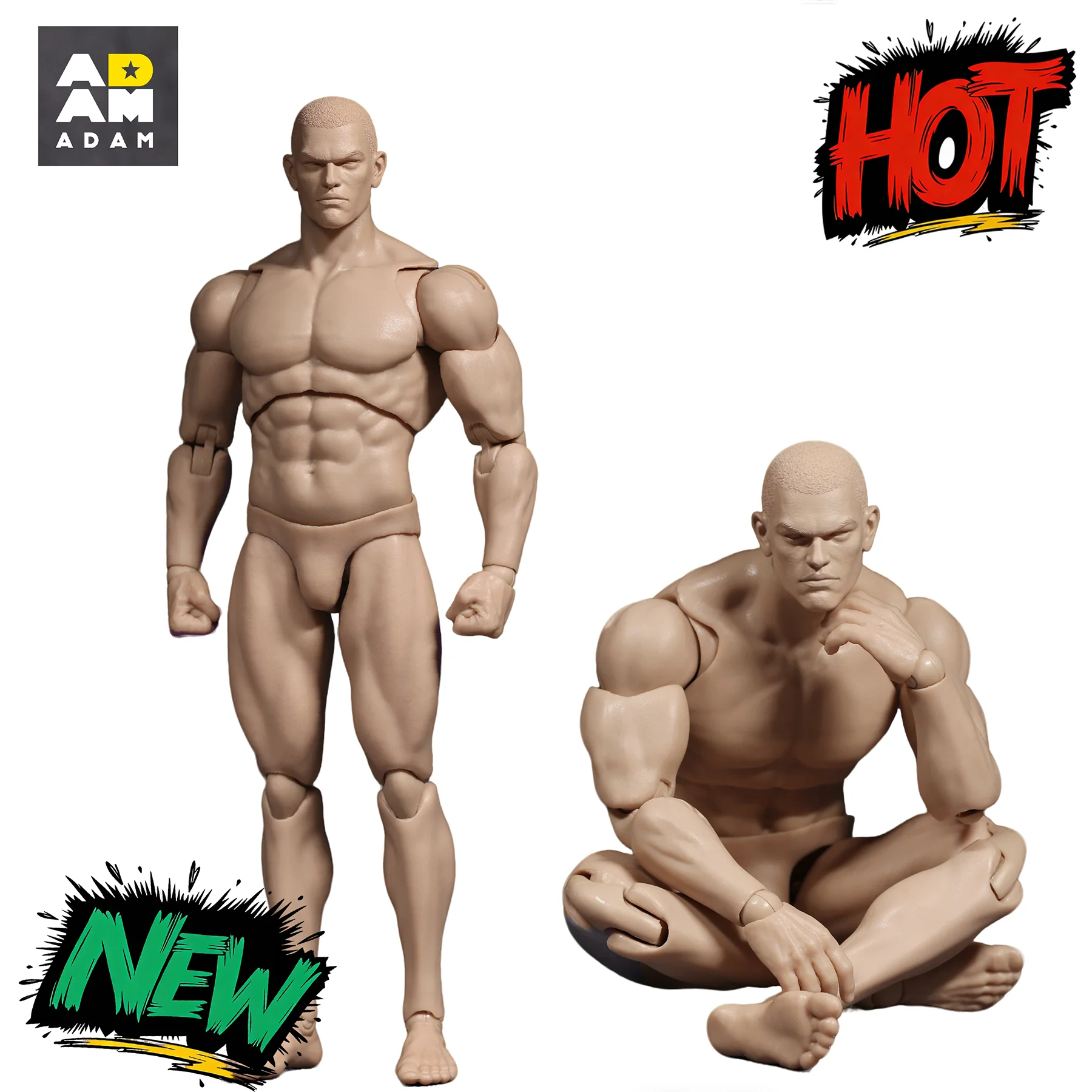 

MUFF TOYS ADAM 1/12 AD01 AD02 Male Soldier Super Strong Action Figures Muscle Joint Body Model with Square Head 6Inch Male Model