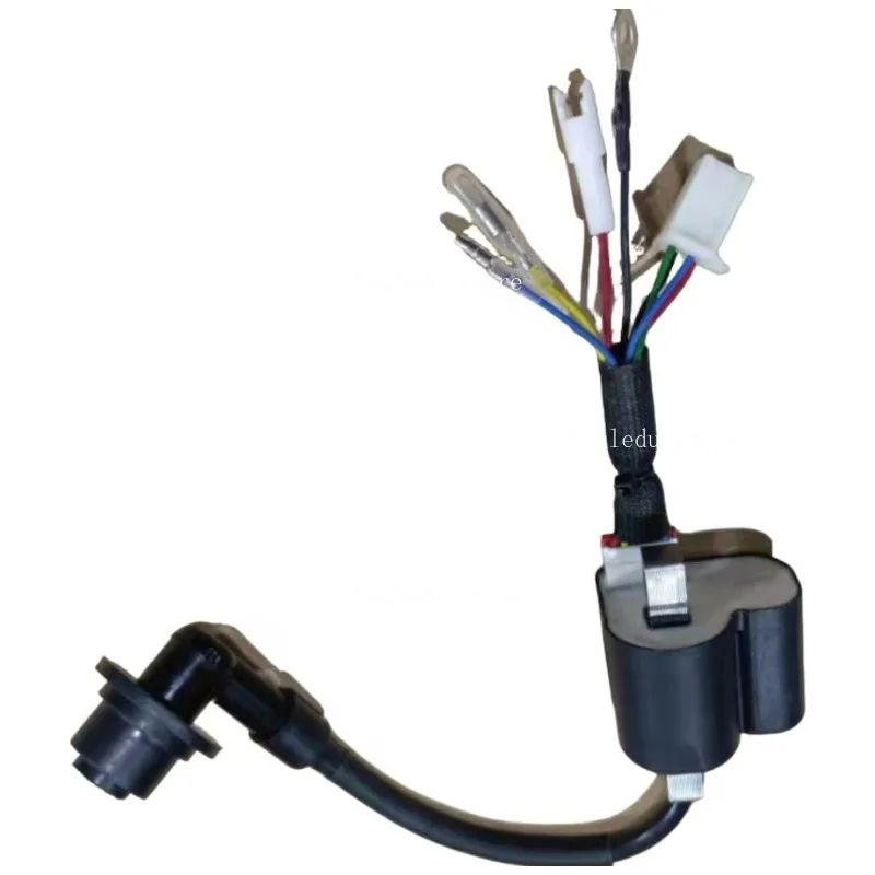 

Suitable for 24V Parking Generator High-voltage Package 148F Variable Frequency Silent Generator 8-wire Ignition Coil