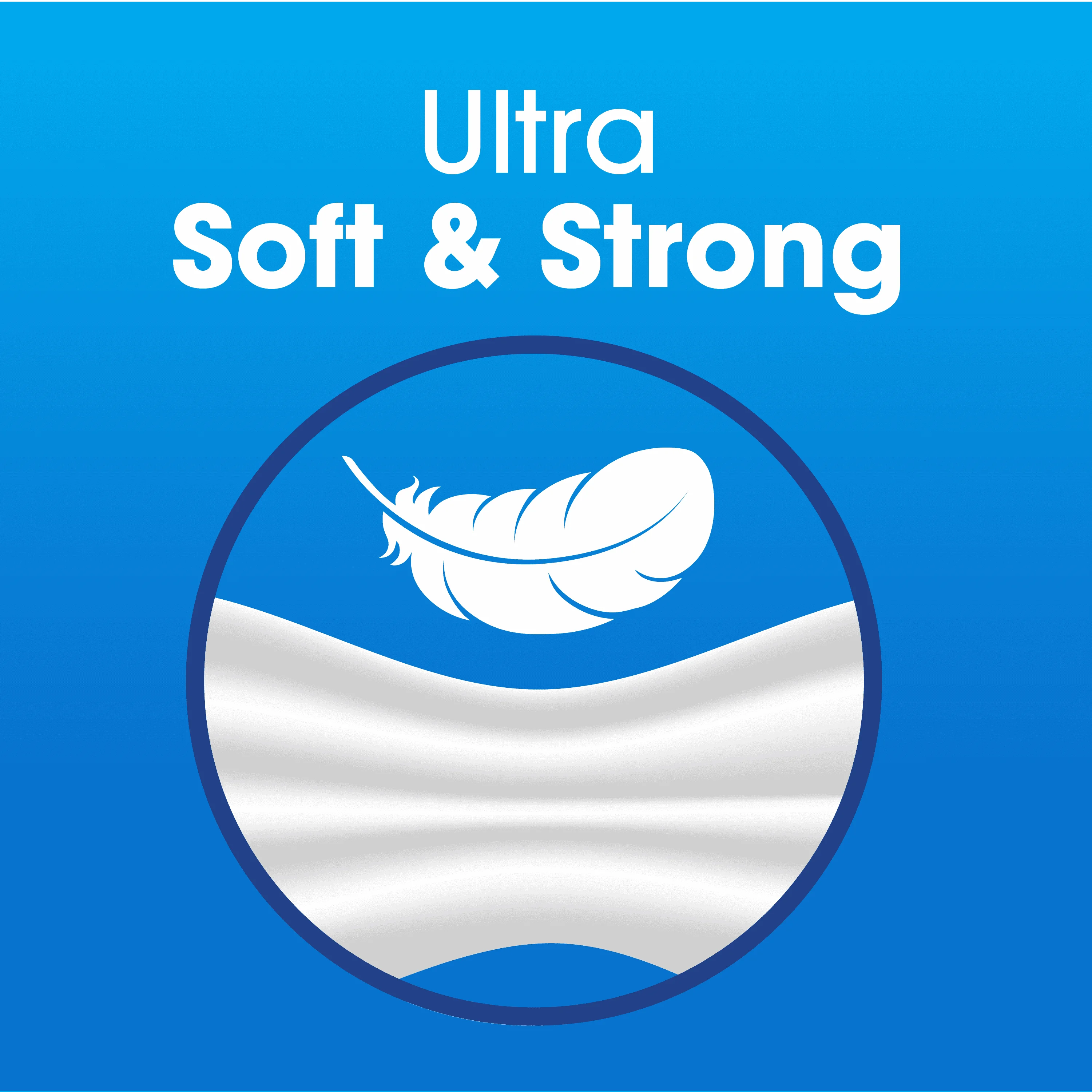 Ultra Soft Toilet Paper, 12 Mega Rolls