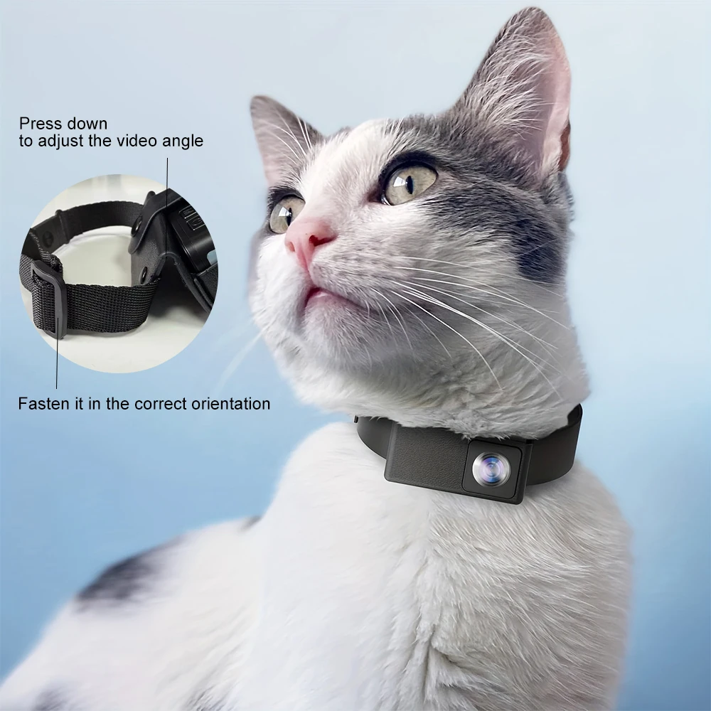 BORME HD 1080P caméras pour animaux de compagnie chien chat caméra pour animaux de compagnie collier sans fil caméra pas besoin WiFi enregistrements vidéo pour chats chiens cadeau d'anniversaire