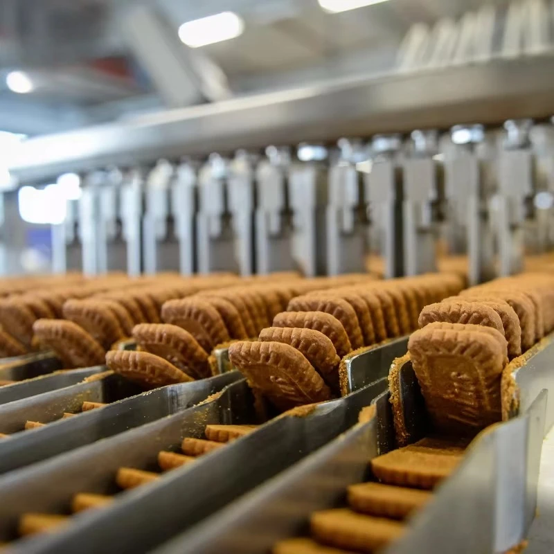Máquina automática para hacer galletas personalizada, línea de galletas, máquina para galletas suaves y duras, oblea, máquina para galletas de la fortuna
