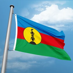 France Region New Caledonia Flag 3ft x 5ft Polyester Banner Flying 90* 150cm Double Penetration Custom Outdoor Indoor Resistance