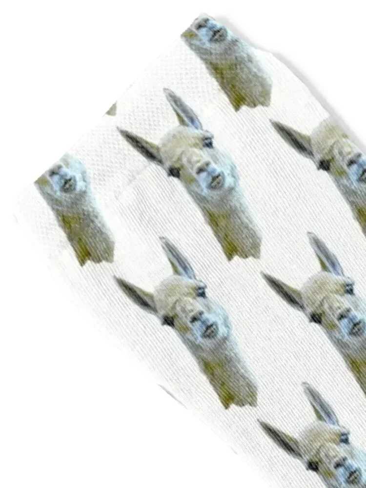 Beautiful Face of a Vicuna Socks Hiking boots compression Running luxury Girl'S Socks Men's