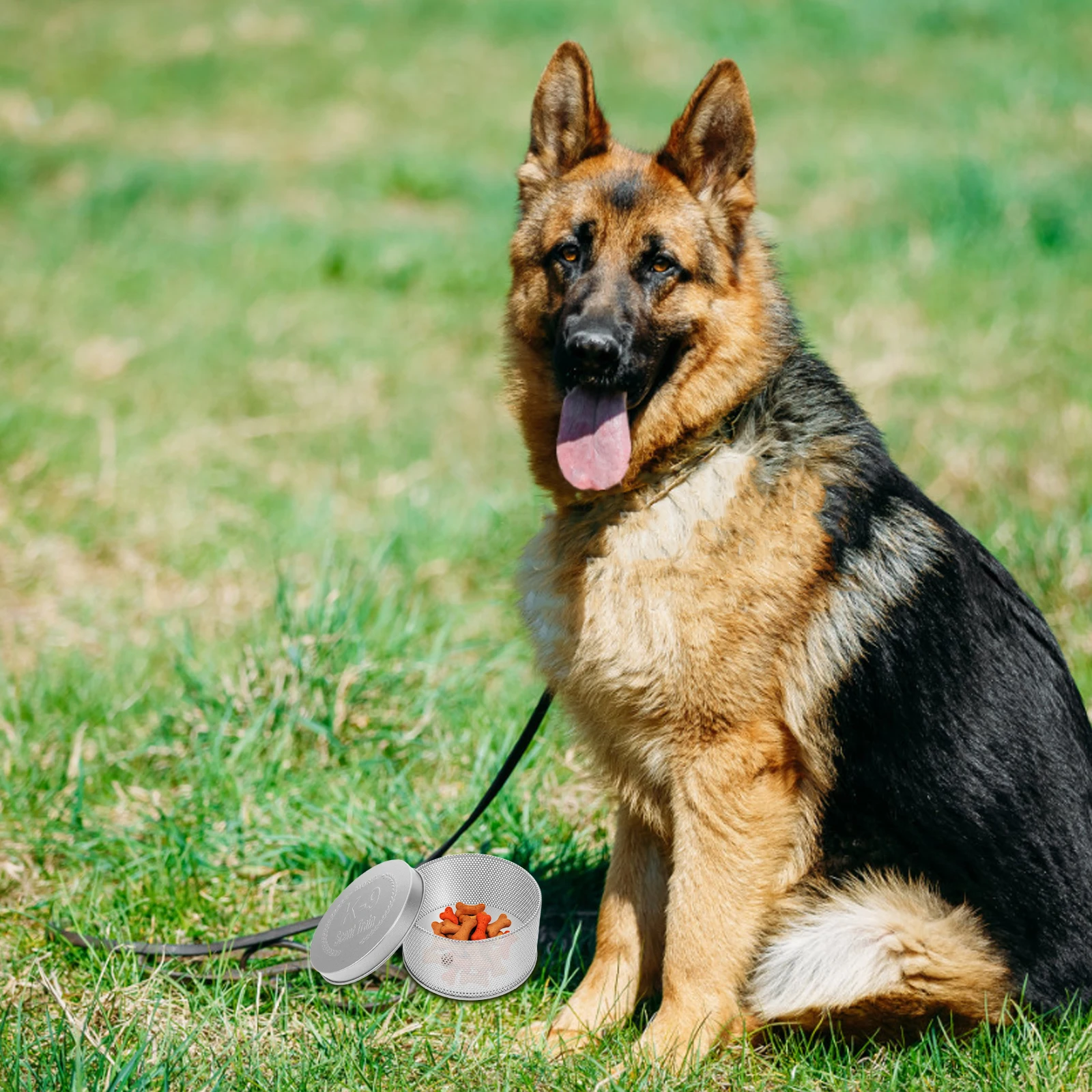 

Dog Scent Training Containers Metal Compact Sturdy Nose Holder Tool for Agility Training Portable Scent Supplies