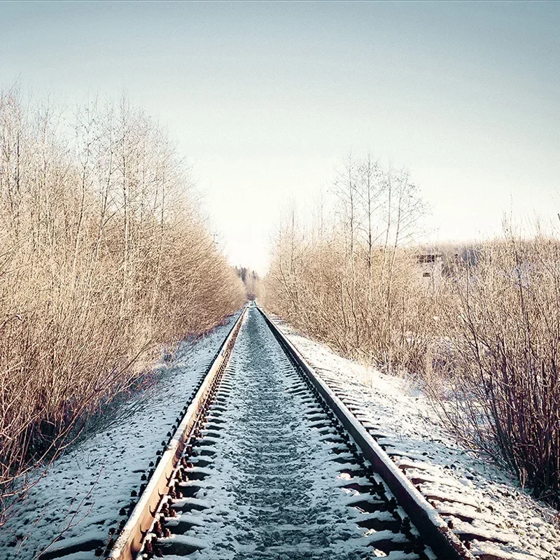 

3990260Digital oil painting coloring, manual coloring, oil painting with high aesthetic value