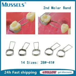 4Pcs/Set Dental Space Maintainer Retainer 2nd Molar Band Orthodontic Braces Preformed Loop Adjacent Teeth Gap Aligner 28#-41#