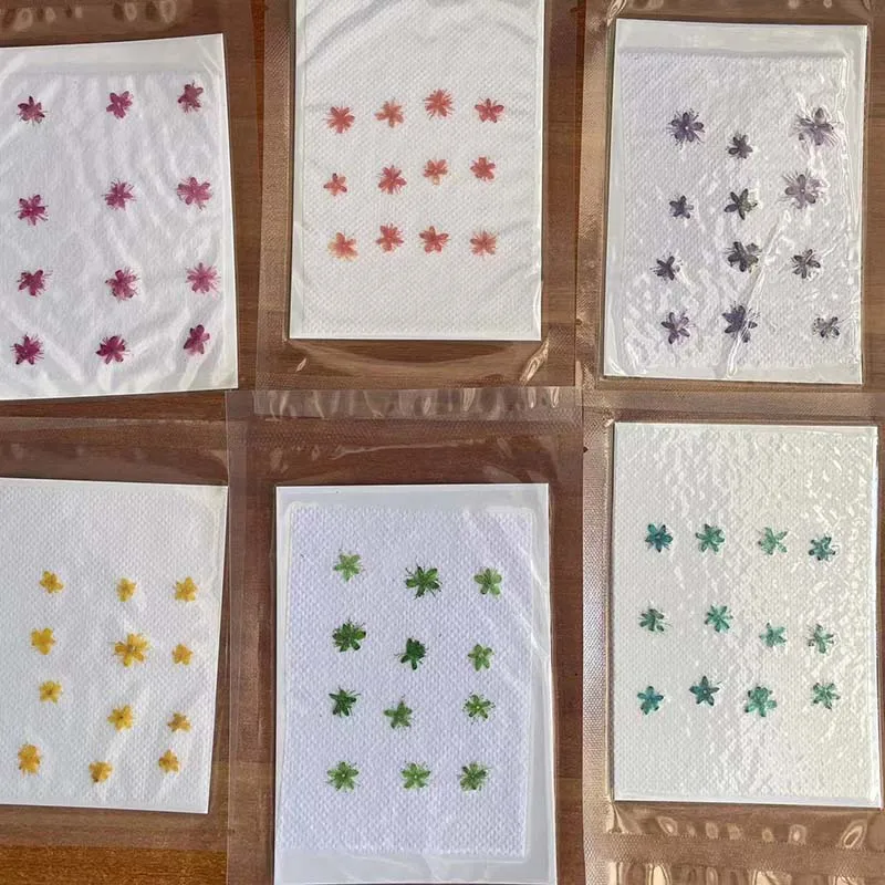 24/36PCS,1.5~2.5CM Natural Dried Mini Pressed Flowers White Sandalwood Heads,Dry Flower Press For Craft Resin Jewellery,Candles