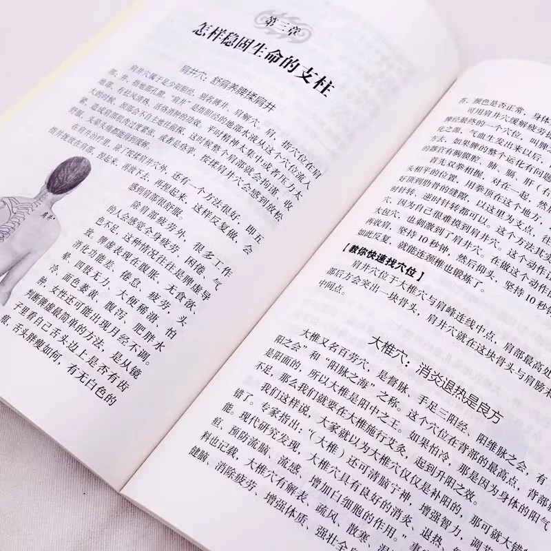 Self Study Hundred Day Guide To Traditional Chinese Medicine, Basic Diagnostic Books on Traditional Chinese Medicine