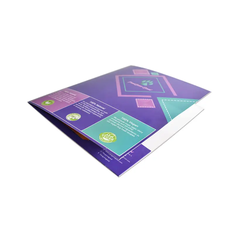 Custom Printing a4 presentation folders 300gsm paper with flaps office file folder