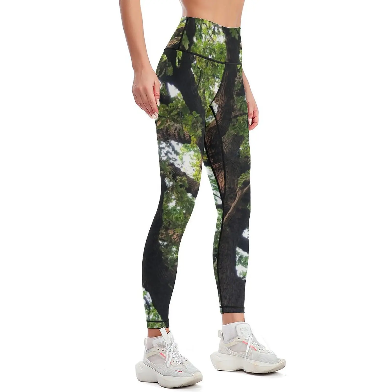 Oak Tree Photography Leggings for girls fitness set gym Women sports sportswear gym Womens Leggings