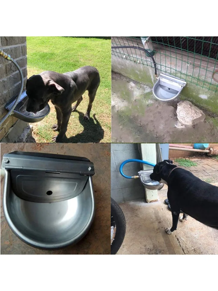 Bol d'eau potable automatique pour animaux, abreuvoir en acier inoxydable 304 pour chien, cheval, chèvre, cochon, vache, distributeur d'eau pour bétail