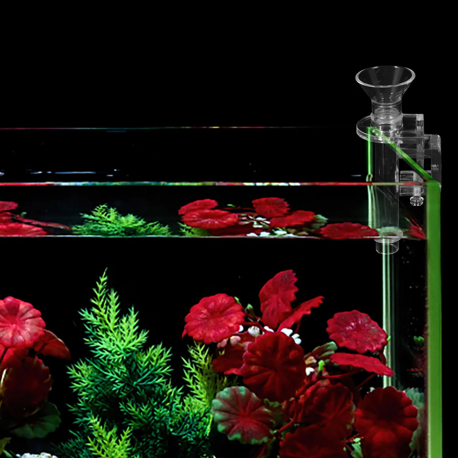 

Shrimp Feeder Clear 10CM Acrylic Tube Fish Feeders Aquarium Shrimp Feeding Tube Tank Accessories Waterproof Crystal