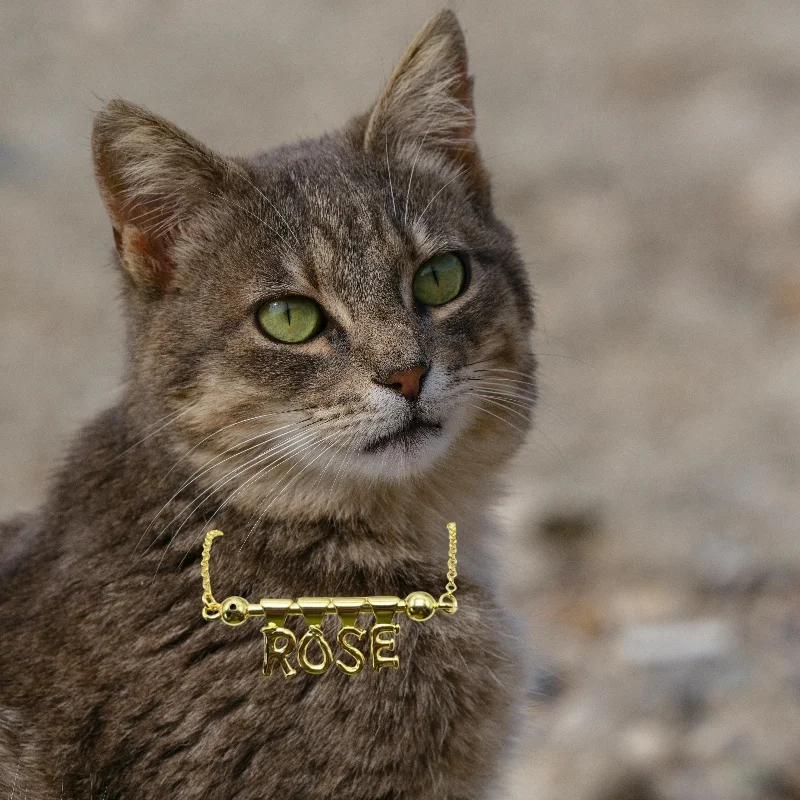 

2025 fashion hot selling Spanish trend silver high-end necklace jewelry simple and exquisite fresh and versatile accessories