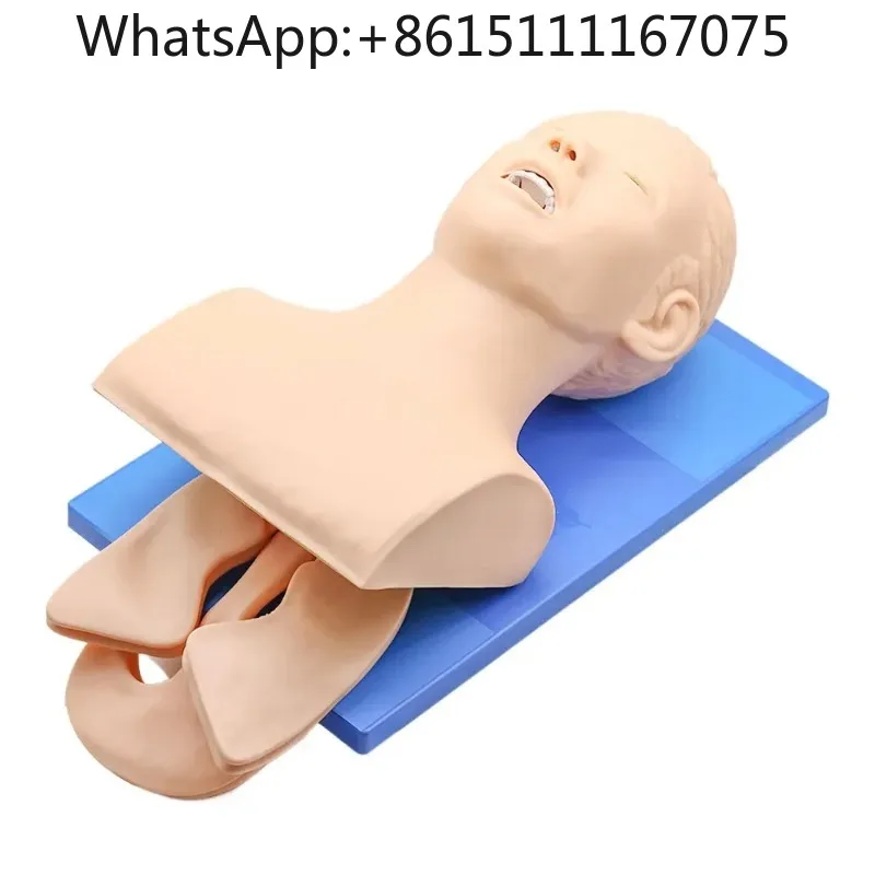 BBHuman Adult Intubation Manikin Model, Electronic Airway Management Trainer Teaching Simulator