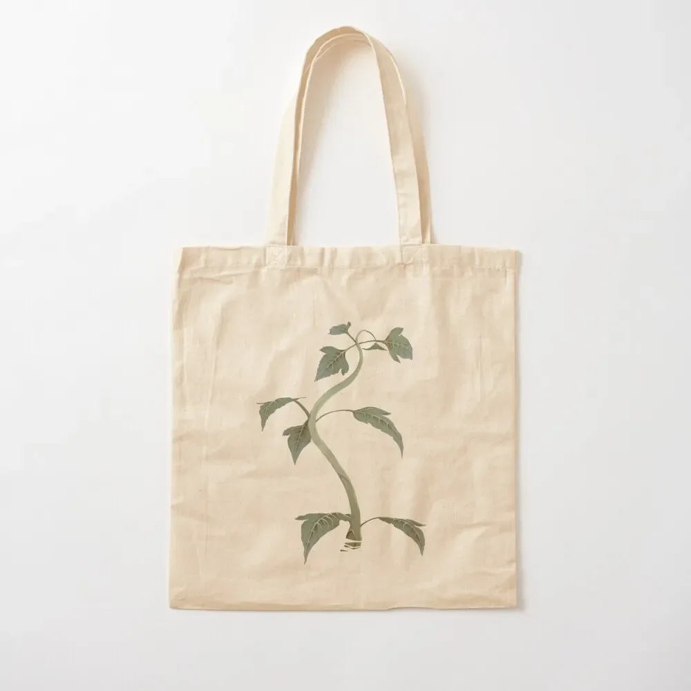 

Elfroot Tote Bag tote bag men female bag Women's bags Women bags