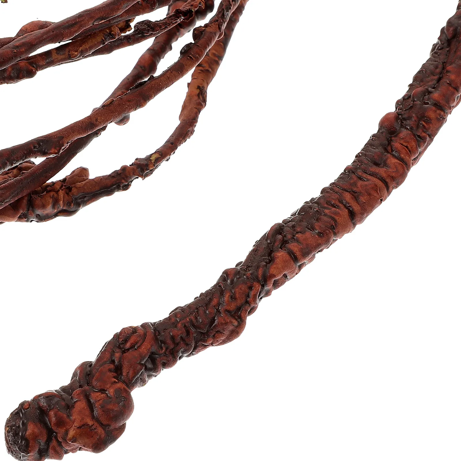 

Simulated Branches Tank Decor Ornament Climbing Habitat Decoration for Lizards Spiders Crabs Terrarium Aquarium for Terrarium