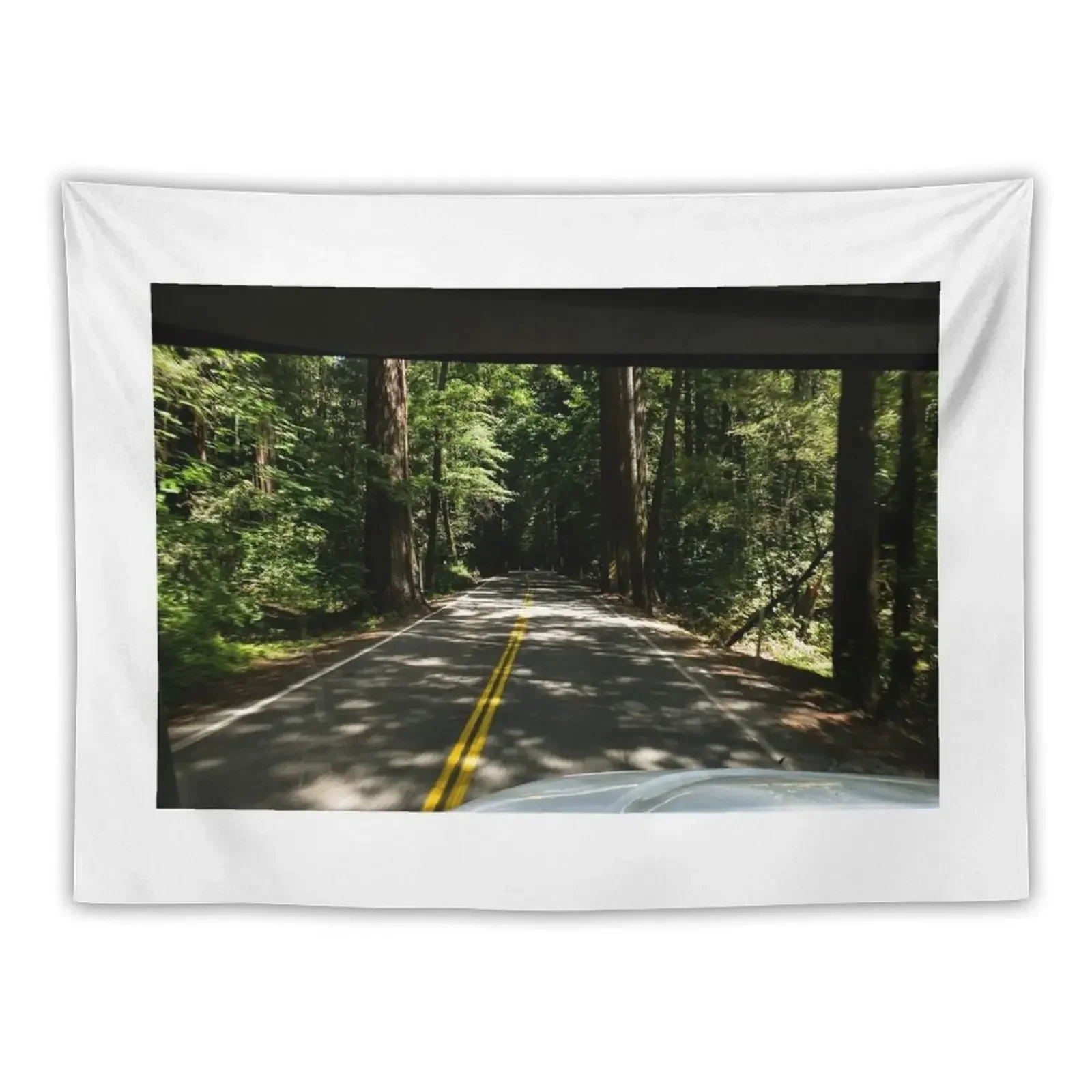 Richardson Grove SP, Humboldt County, California Tapestry Living Room Decoration Bedroom Deco Tapestry