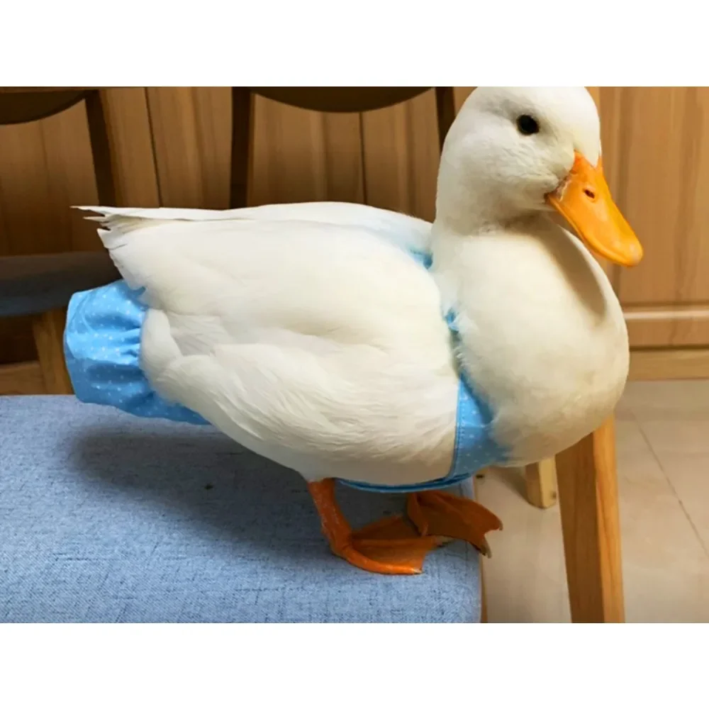 Internet celebrity pet duck diaper bag, Cole duck diaper, big goose diaper, chicken manure bag, small duck diaper, change and wa