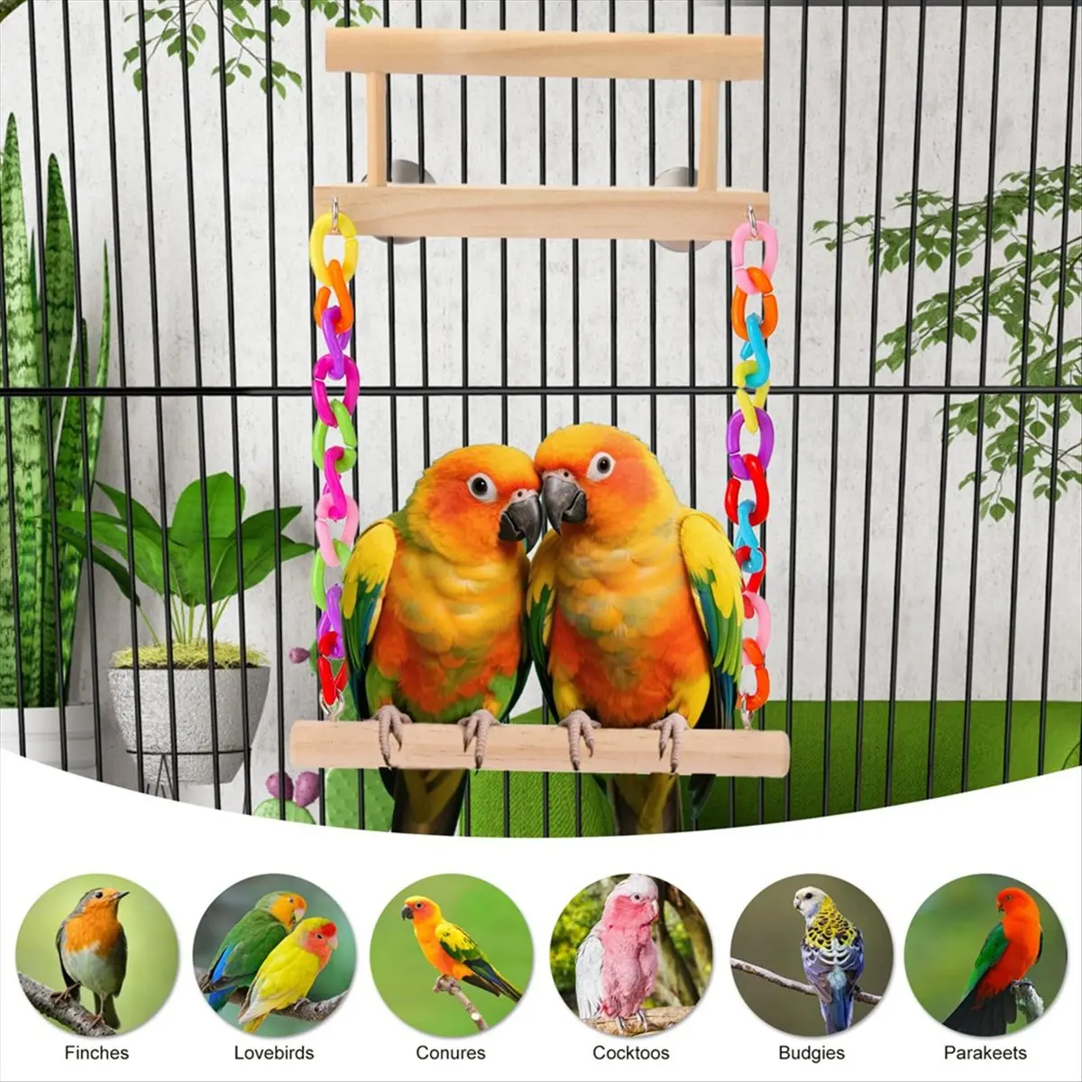 Bird Perch Bird Cage Accessories Platform Swing - for Parrot,Parakeet,Budgies, Cockatiels, Lovebirds, Pacific Parrotlets