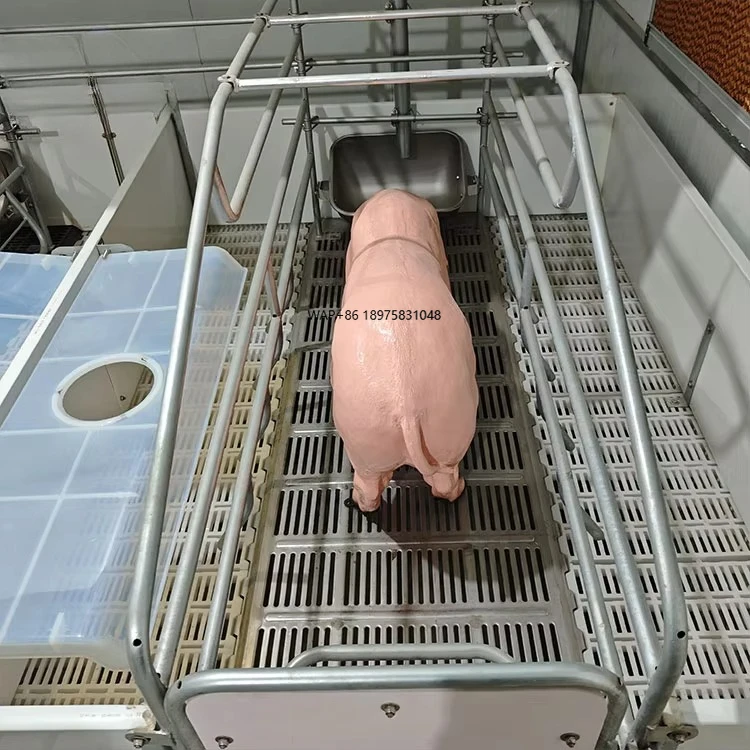 

Upgraded industrial pig raising equipment, pig raising equipment, delivery equipment, livestock farms