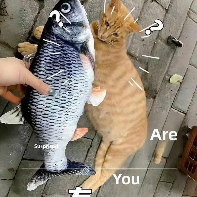 

Large Fi ape Phone Case Funny Design Suitable for 6promax Iphone 5 s9 5 Roommate ...