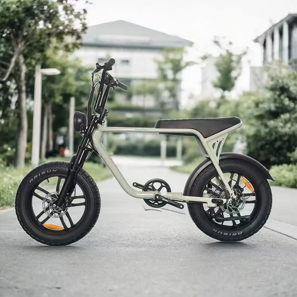 20*4 Inch Fat Tire Electric Bike 36V 750W Mountain E-Bike with Removable Lithium Battery, Hydraulic Disc Brakes for Adults - view 4