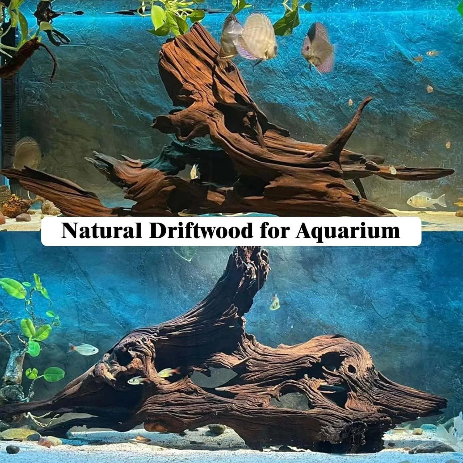 15-20CM 1Pc Natural Driftwood Coral Reef Decor Wooden Aquarium Decoration For Fish Tank Reptile Climbing Turtle Habitat Durable - view 4