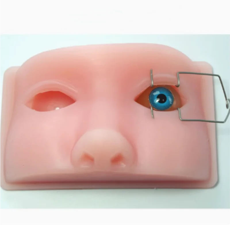 

Silicone phacoemulsification micromanipulation of human head model for orbital ophthalmic surgery