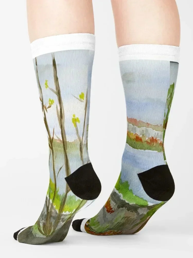 Colpoy's Bay From Skinners Bluff Socks cool soccer anti-slip Christmas new year Socks Ladies Men's