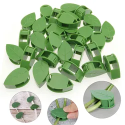 Artefatos de Escalada de Plantas Gancho, Clipe De Fixação, Forma De Folha, Auto-Adesivo, Suporte De Gancho De Jardim Invisível, Plantas Tracele, 10-40Pcs