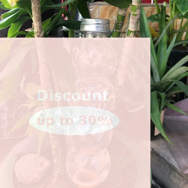 [1Pcs Automatic Water Device Plant Waterer Self Watering Home Garden Tools Gardening For Indoor And Outdoor Plants]