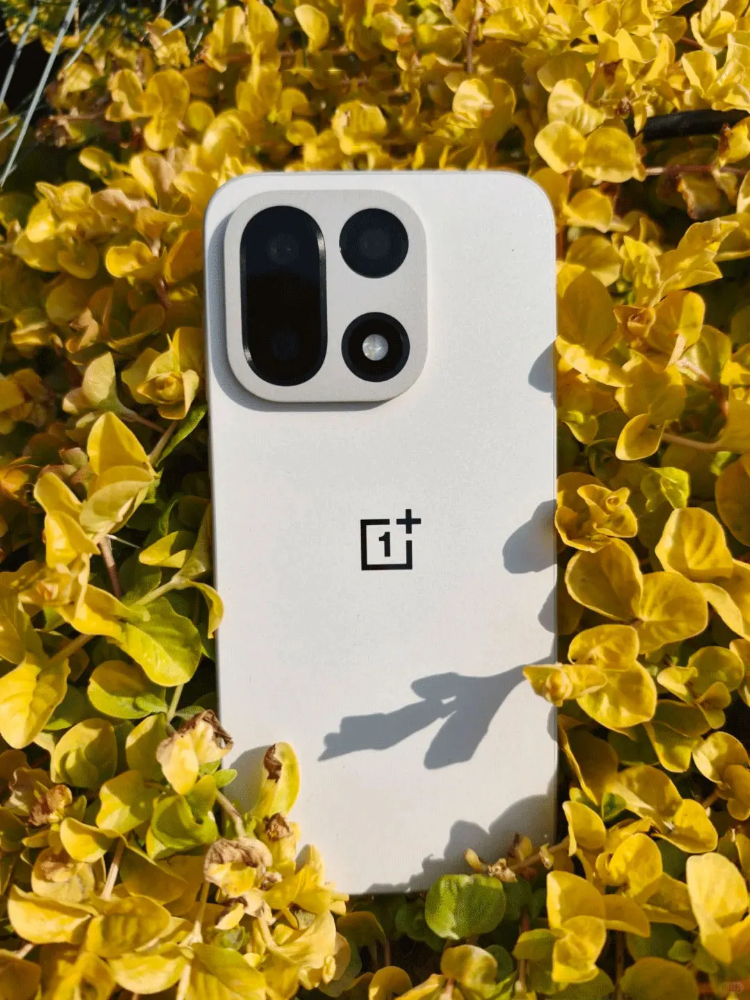 Smartphone OnePlus 15 5G, Snapdragon 8 Gen 5, écran AMOLED 6,78 pouces 165 Hz, 7300 mAh, 120 W, triple appareil photo 50 MP