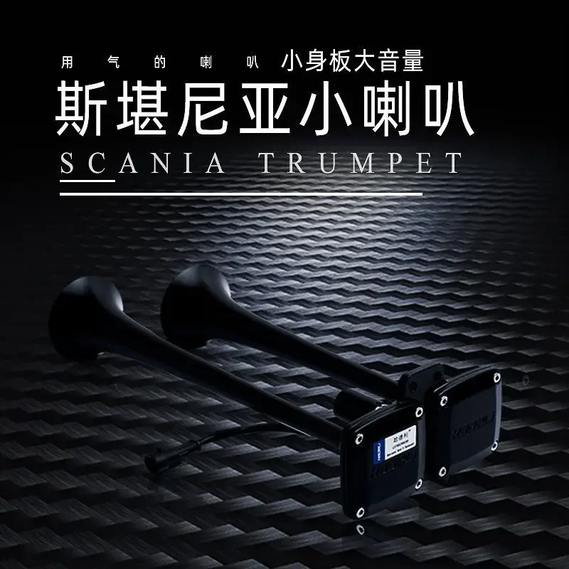 

Durable 12v24v Modified Electronic Control Waterproof Tweeter Super Loud