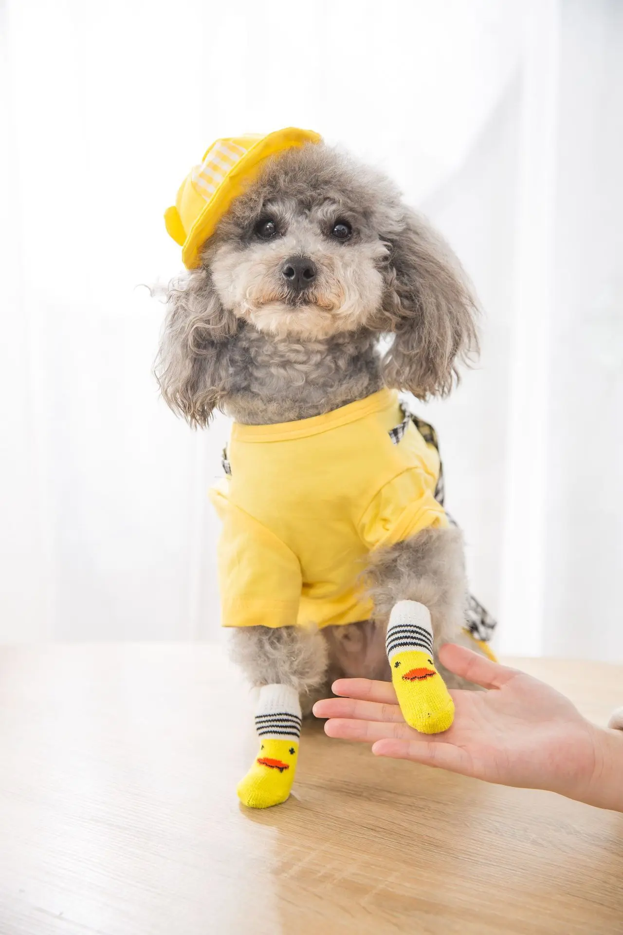 1PC Pet Socks,19 Color Optional , High-quality Anti Slip Bottom,Dog Socks, Dog Foot Covers, Teddy Dog Cotton Socks Pet Supplies