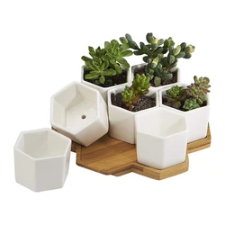 Planter Pots Indoor, 7 Pack Modern White Ceramic Small Hex Succulent Cactus Flower Plant Pot with Bamboo Tray Home Garden Decor