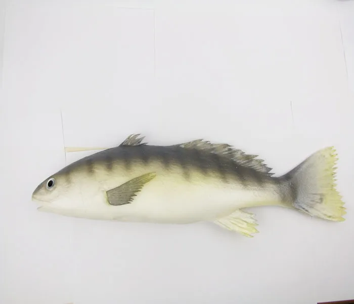 Simulierte Fisch modell künstliche Karausche Figur Fisch Dekoration Ornament Kinder Tier lernen Spielzeug Geschenke dekorative Requisiten – Detail 7